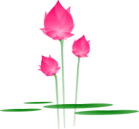 bua