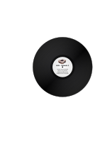 Vinyl LP/Record Album