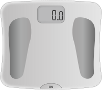 Body scale