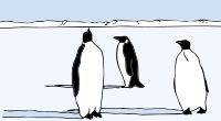 penguins