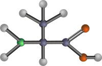 Alanine (amino acid)
