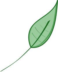 Green leaf