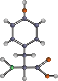 Tyrosine (amino acid)