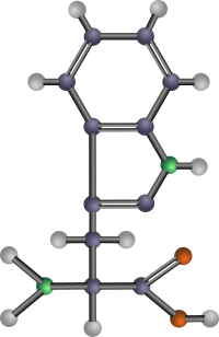 Tryptophan (amino acid)