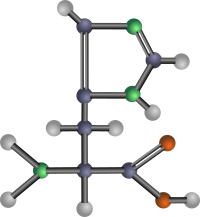 Histidine (amino acid)