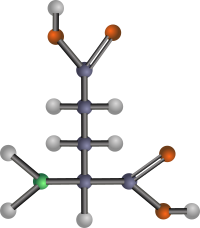 Glutamic acid (amino acid)