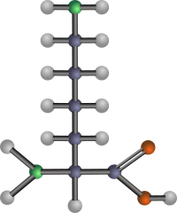 Lysine (amino acid)