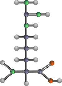 Arginine (amino acid)