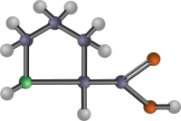 Proline (amino acid)