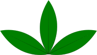 a green sprout