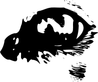 dog-eye