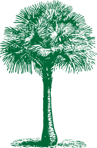 Australian Fan Palm