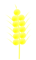 Wheat