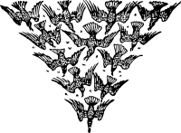 triangle of birds