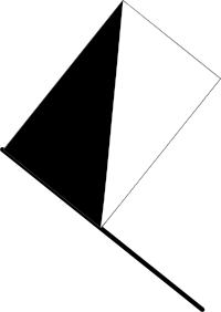 Half black flag