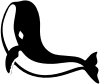 Baleia - Shark