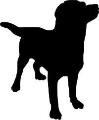 Dog silhouette