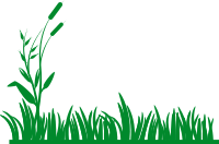 grass background