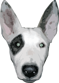 HighRes, Bullterrier head