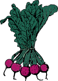 beets
