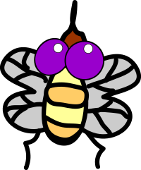 Fly