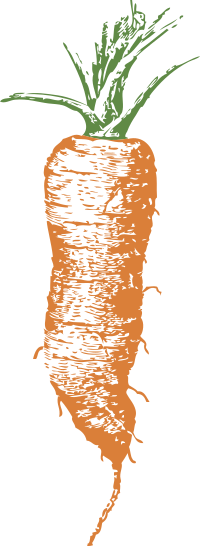 half long carrot