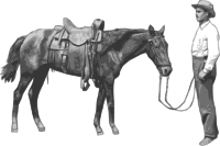 Man and his Horse
