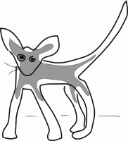 kitten