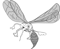 FREEHAND MOSQUITO