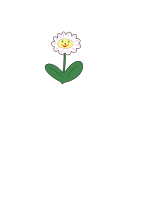 Daisy smile