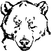 bear head