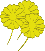 yellow flowers