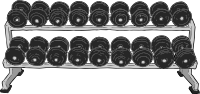 Dumbell Rack