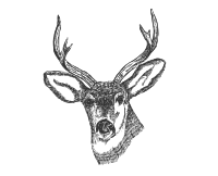 Deer Head