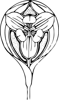 tulip design