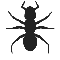 Ant Icon