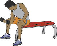 Dumbell Lifter