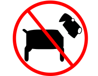 No pets, no animals.