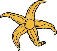 starfish