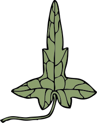 ivy leaf 8