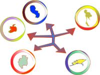 International Network (3)