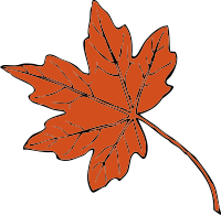 maple leaf