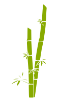 bamboo