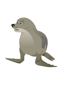 Grey Seal