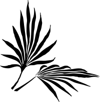 fronds silhouette