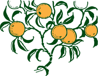 orange branch