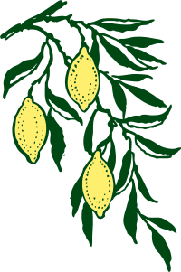 lemon branch