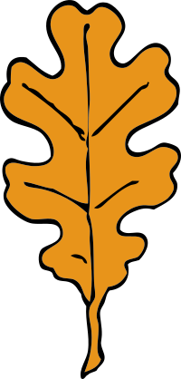 oak leaf
