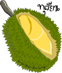 Durian,Thai Fruit
