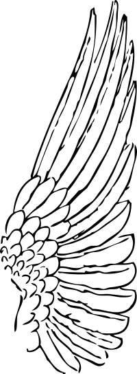 wing